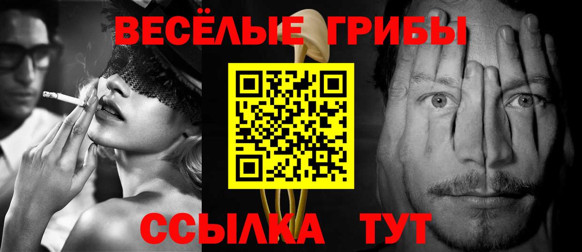 Псилоцибиновые грибы Cubensis  Вход с VPN  Прохладный 