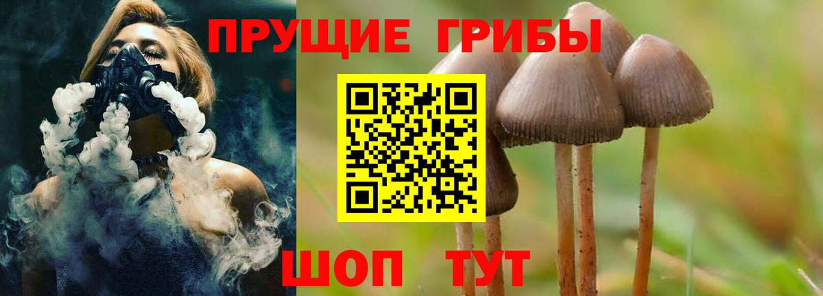 Галлюциногенные грибы MAGIC MUSHROOMS Прохладный